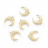 Ion Plating(IP) 304 Stainless Steel Pendants STAS-N097-258LG-2