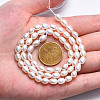 Natural Cultured Freshwater Pearl Beads Strands PEAR-N012-04C-5