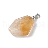 Natural Mixed Stone Pendants G-F739-02P-5