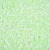 Glass Seed Beads SEED-T008-01D-3
