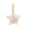 Star Acrylic Pendant Decorations HJEW-JM03395-4