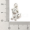 Rack Plating Tibetan Style Alloy Pendants FIND-B027-01AS-4