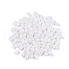 Baking Paint Glass Seed Beads SEED-T006-03A-5
