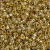 MIYUKI Round Rocailles Beads X-SEED-G009-RR0578-3