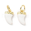 Brass Enamel Charms KK-G416-37G-03-1