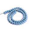 Natural Agate Beads Strands G-S286-06B-2