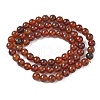 Natural Orange Garnet Beads Strands G-G271-B01-6mm-3
