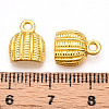 Alloy Charms PALLOY-N176-111G-3