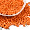 Baking Painted Glass Seed Beads SEED-C004-01C-1
