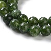 Dyed Natural Malaysia Jade Beads Strands G-G021-02A-13-4