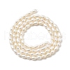 Natural Cultured Freshwater Pearl Beads Strands PEAR-I007-01L-04-3