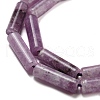Natural Lepidolite/Purple Mica Stone Beads Strands G-G006-A01-01-4