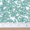MIYUKI Round Rocailles Beads SEED-JP0008-RR0481-4