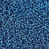 MIYUKI Round Rocailles Beads SEED-X0054-RR0025-2