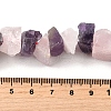 Natural Rose Quartz & Amethyst Beads Strands G-I283-F10-5