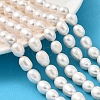 Natural Cultured Freshwater Pearl Beads Strands PEAR-I007-01E-04A-1