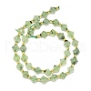 Natural Prehnite Beads Strands G-I376-B12-01-2