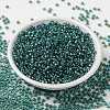 MIYUKI Round Rocailles Beads SEED-JP0009-RR3741-3
