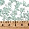 Ceylon Glass Seed Beads SEED-K009-02B-26-4