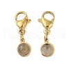 Ion Plating(IP) 316 Surgical Stainless Steel Pendant Decorations STAS-A097-04G-11-1