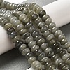 Natural Labradorite Beads Strands G-G102-C06-01-2