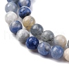 Natural Sodalite Beads Strand GSR8mmC013-6