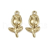 304 Stainless Steel Pendants STAS-D363-10G-1