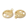 Rack Plating Brass Micro Pave Clear Cubic Zirconia Pendants KK-F853-09G-2