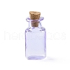 Rectangle Miniature Glass Bottles GLAA-H019-06B-1