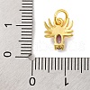 Rack Plating Brass Micro Pave Cubic Zirconia Charms KK-F881-02G-05-3