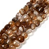 Natural Banded Agate(Dyed & Heated) Beads Strands G-C179-A6mm-20-2