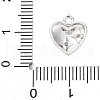 Brass Micro Pave Cubic Zirconia Charms KK-A240-21P-3