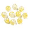 Transparent Crackle Acrylic Beads CACR-N004-01A-2