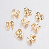 304 Stainless Steel Bead Tips STAS-E129-03G-1