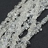 Glass Beads Strands G-P332-25B-1