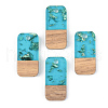 Transparent Resin & Walnut Wood Pendants RESI-S389-044A-B03-1