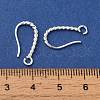 Long-Lasting Plated Brass Ear Wire KK-K381-07S-3