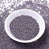 MIYUKI Delica Beads X-SEED-J020-DB1065-2