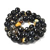 Faceted Natural Fire Crackle Agate Beads Strands G-F447-10mm-A09-4