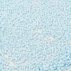 Baking Paint Glass Seed Beads SEED-S042-05B-64-3