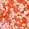 Glass Seed Beads SEED-K010-03N-2