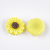 Resin Cabochons X-CRES-T010-60J-2