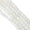 Natural Weathered Agate Beads Strands G-G589-8mm-03-4