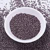 MIYUKI Delica Beads SEED-X0054-DB0462-2