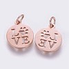 304 Stainless Steel Pendants STAS-Q201-T450R-2