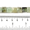 Natural Prehnite Beads Strands G-C109-A05-01-5