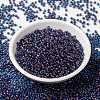 MIYUKI Round Rocailles Beads X-SEED-G008-RR0346-2