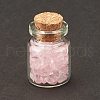 Transparent Glass Wishing Bottle Decoration DJEW-A001-01A-07-2