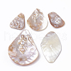 Freshwater Shell Big Pendants SHEL-Q019-001-1