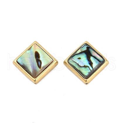 Natural Paua Shell Beads SSHEL-M024-03C-G-1